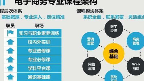 中专电子商务能转专业吗